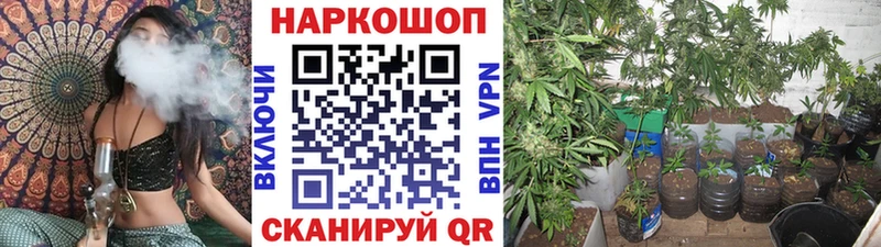 Купить закладку Alpha-PVP  МЕФ  Гашиш  АМФ  МАРИХУАНА  Валуйки
