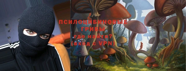 гашик Карталы