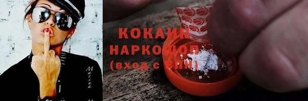 сатива Карпинск