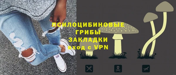 гашик Карталы