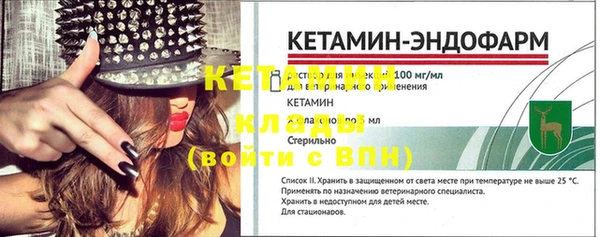 сатива Карпинск