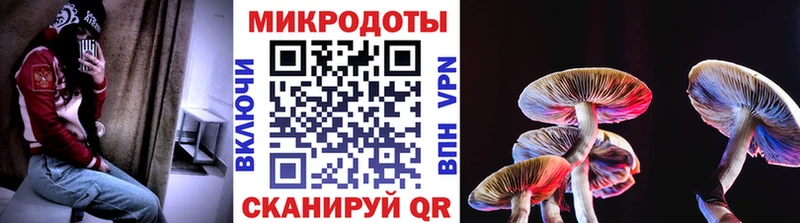 Купить закладки  Валуйки  Галлюциногенные грибы ЛСД 